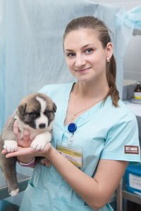 Фото врача Махватова Надежда Владимировна
