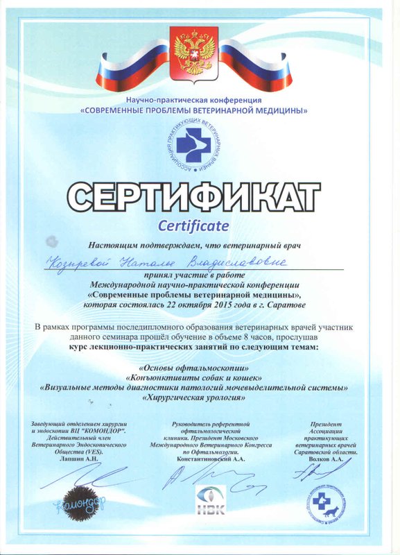 Документ или сертификат