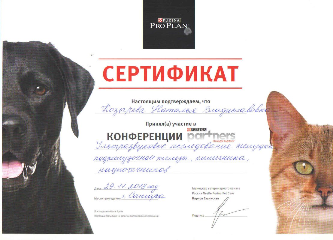 Документ или сертификат
