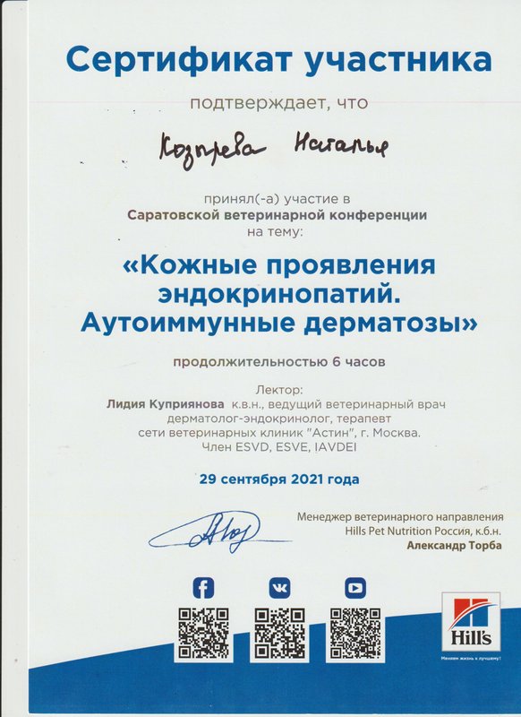 Документ или сертификат