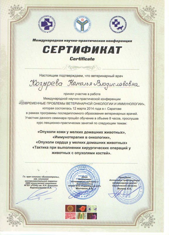 Документ или сертификат