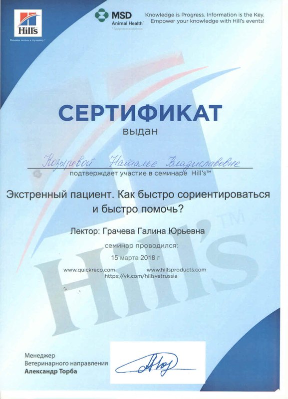 Документ или сертификат