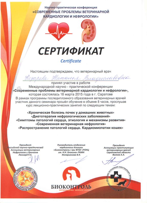Документ или сертификат