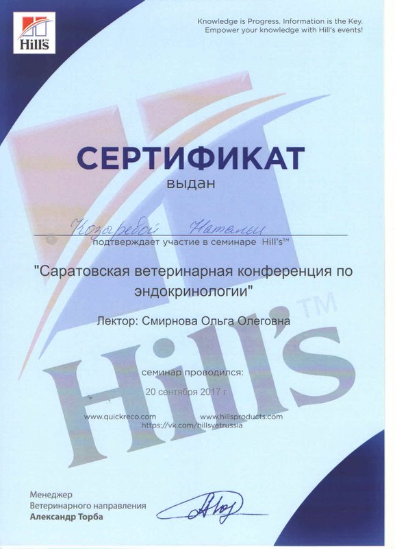 Документ или сертификат