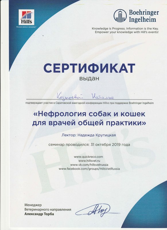Документ или сертификат