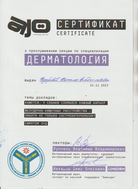 Документ или сертификат