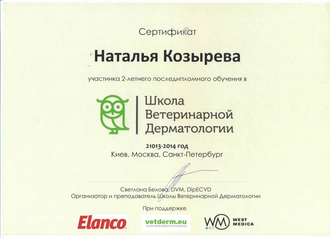 Документ или сертификат