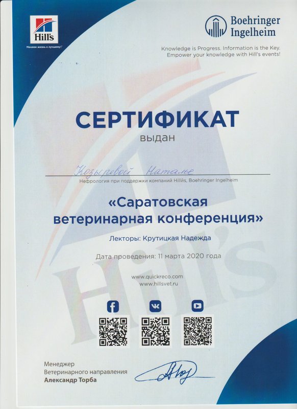 Документ или сертификат