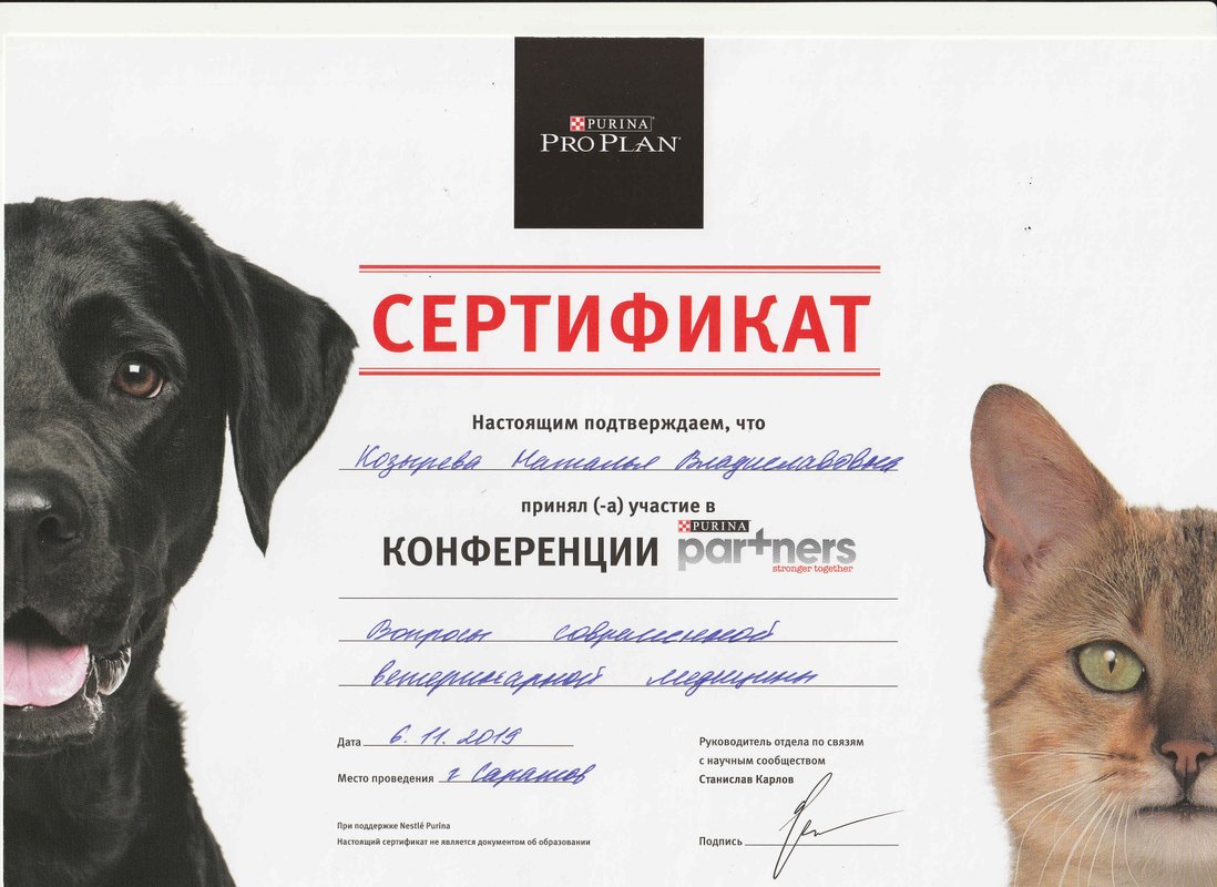 Документ или сертификат