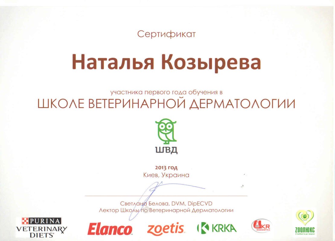 Документ или сертификат