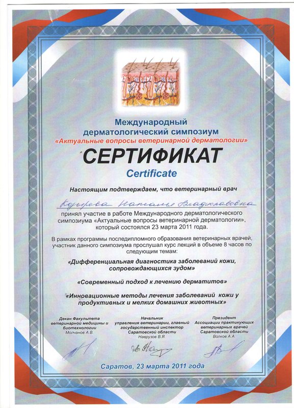 Документ или сертификат