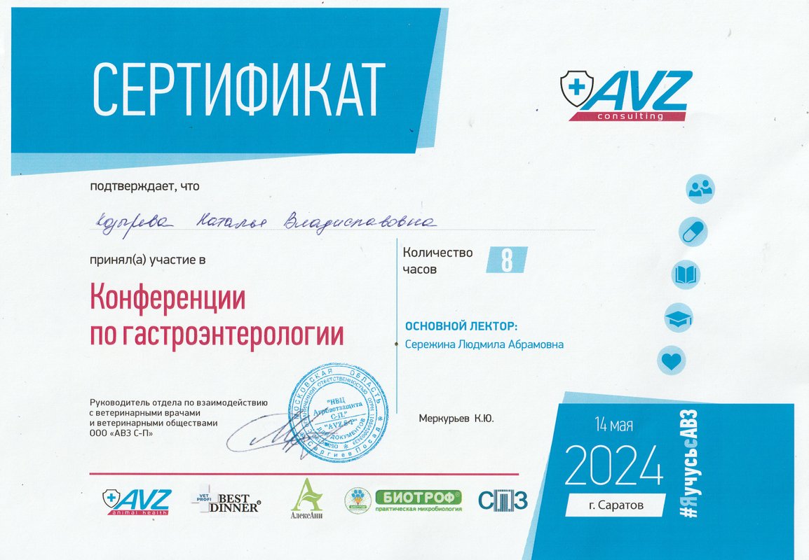 Документ или сертификат