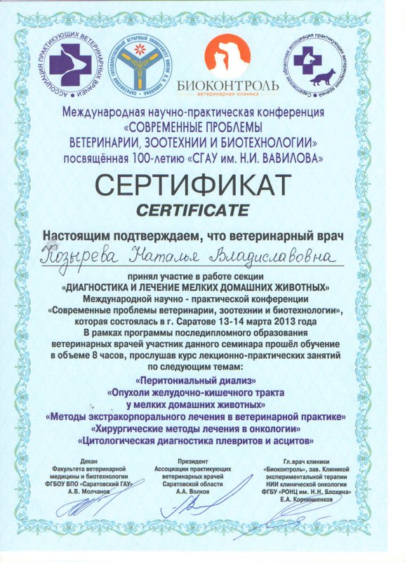 Документ или сертификат