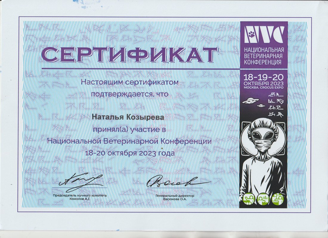 Документ или сертификат