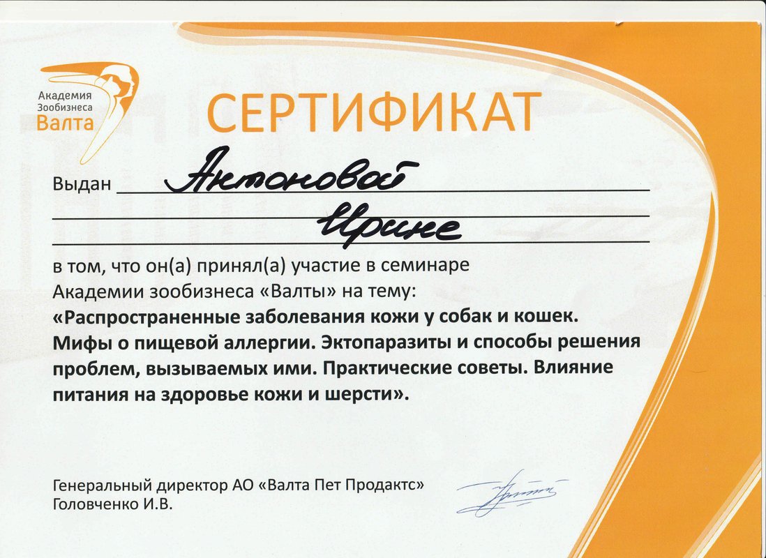 Документ или сертификат