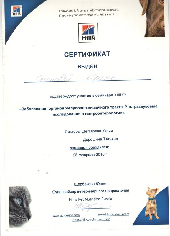 Документ или сертификат