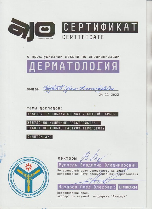 Документ или сертификат