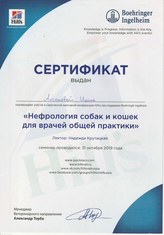 Документ или сертификат