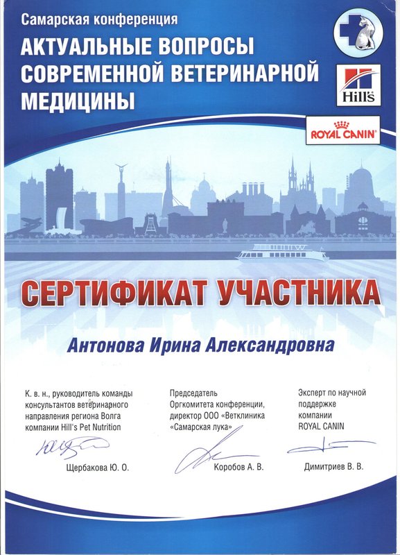Документ или сертификат