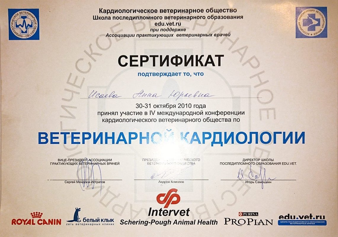 Документ или сертификат