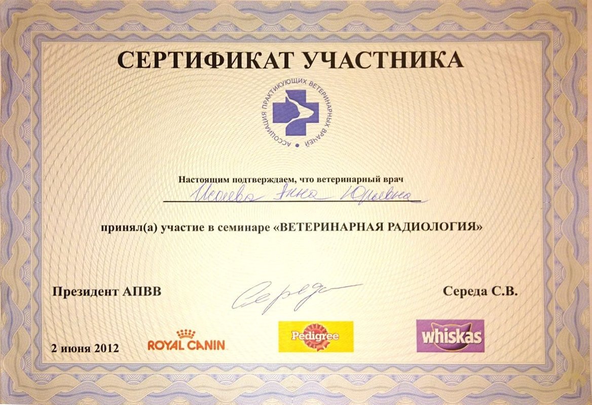 Документ или сертификат