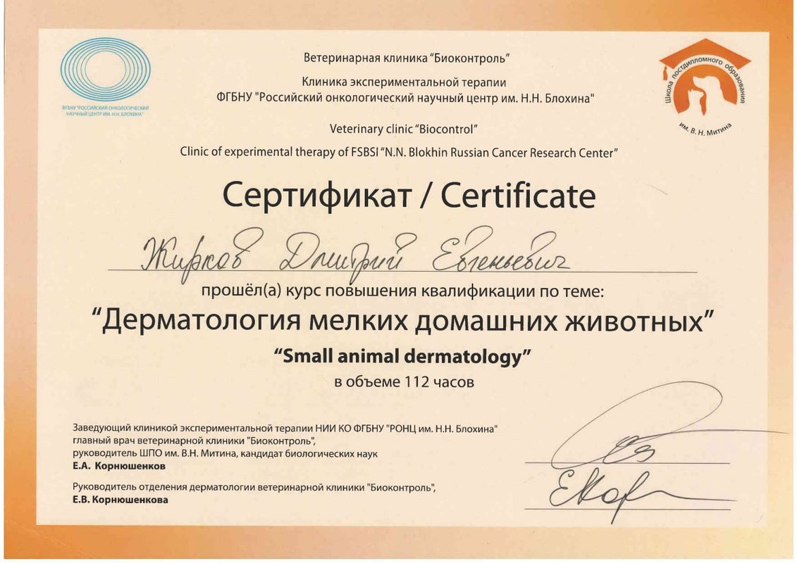 Документ или сертификат