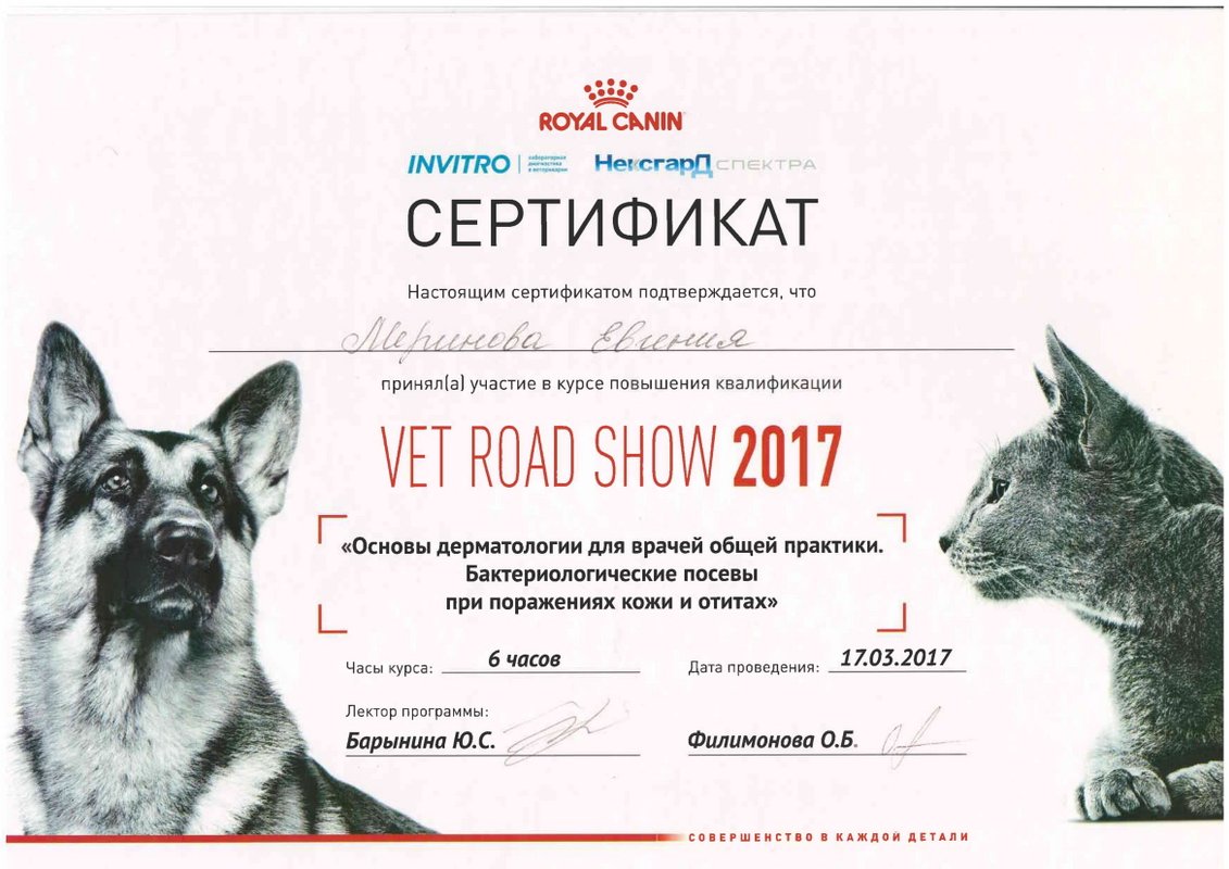 Документ или сертификат