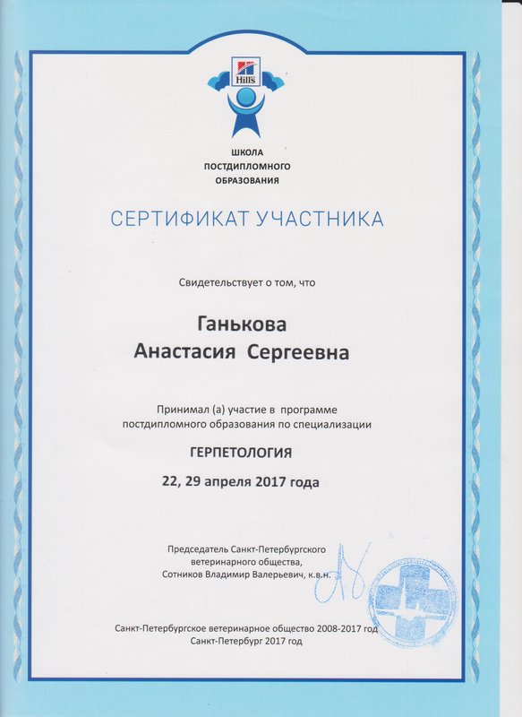 Документ или сертификат