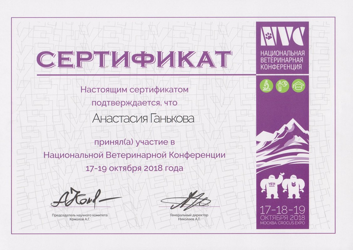 Документ или сертификат