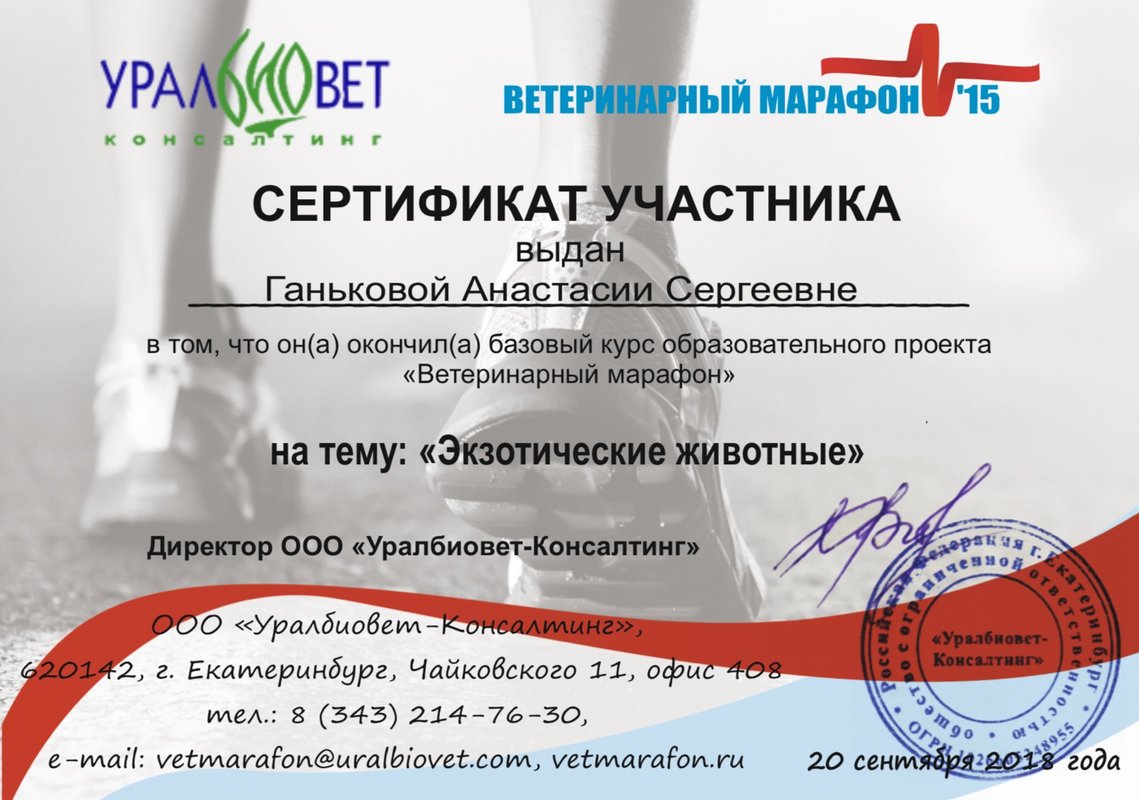 Документ или сертификат