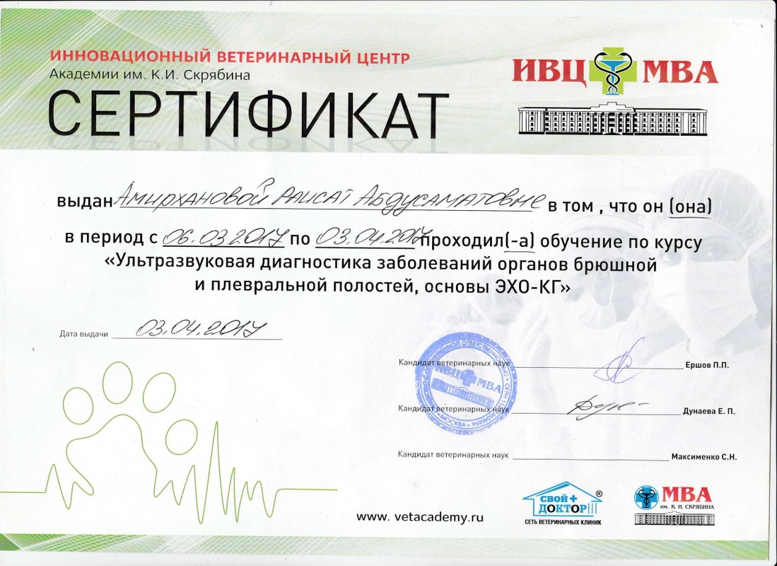 Документ или сертификат