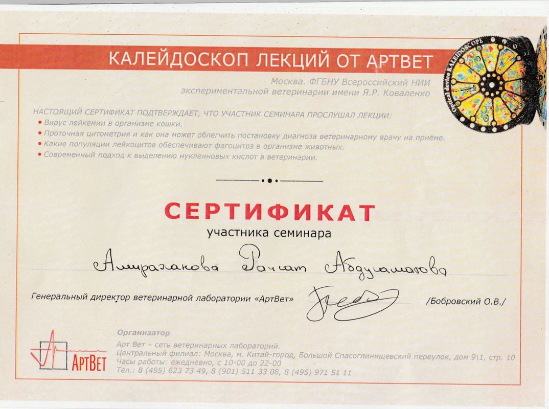 Документ или сертификат
