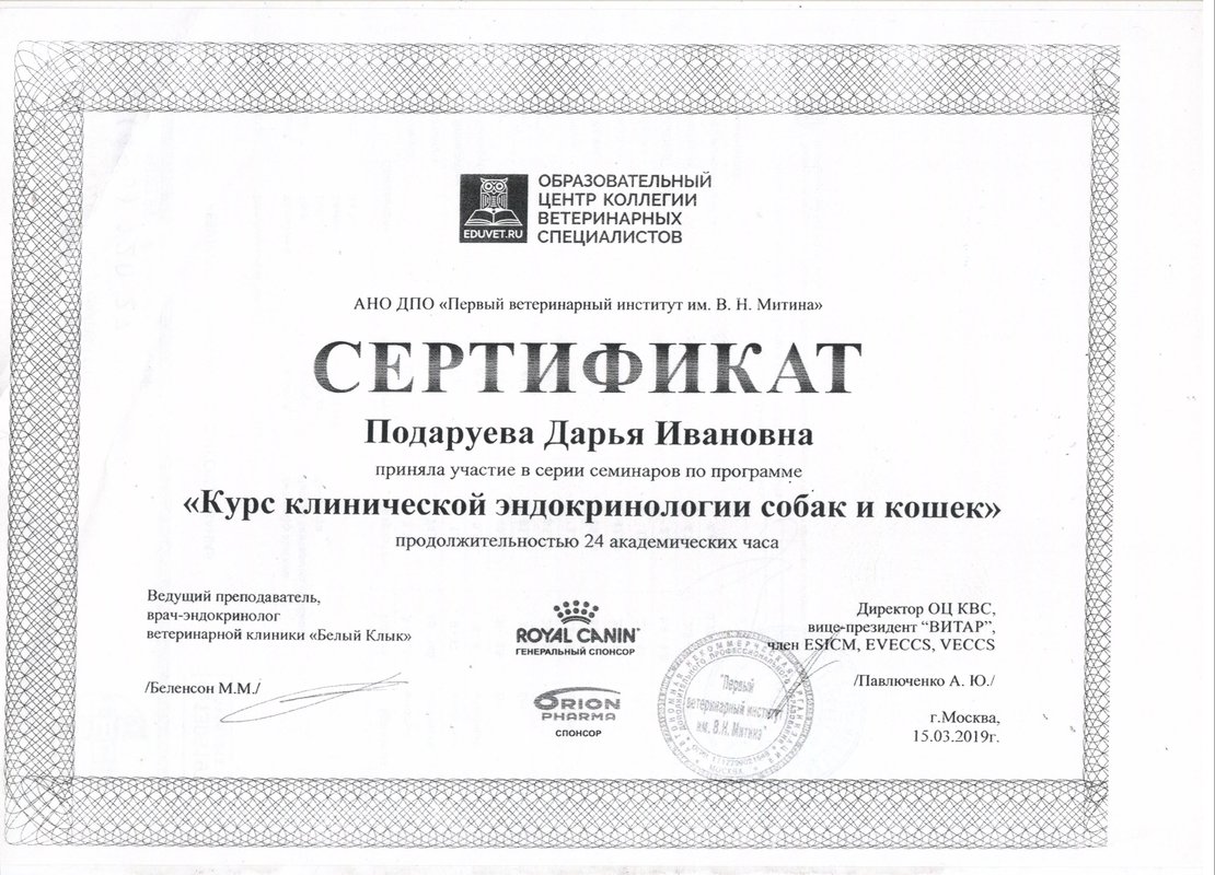 Документ или сертификат
