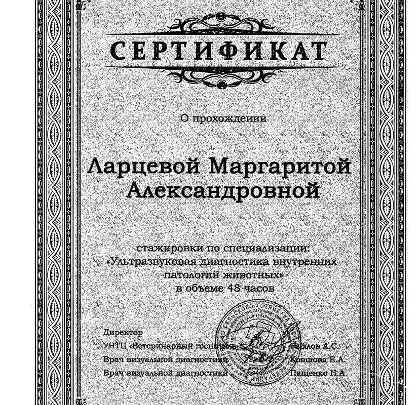 Документ или сертификат