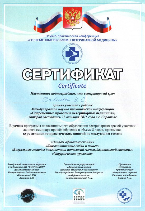 Документ или сертификат