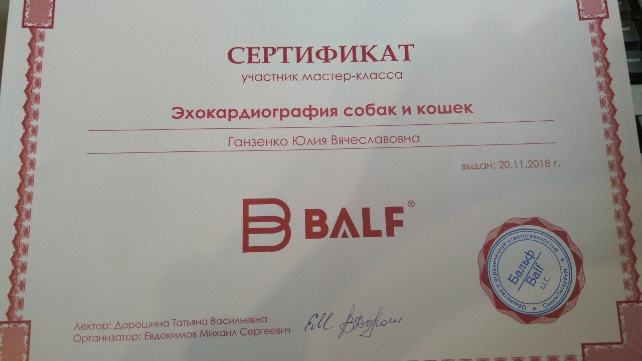 Документ или сертификат