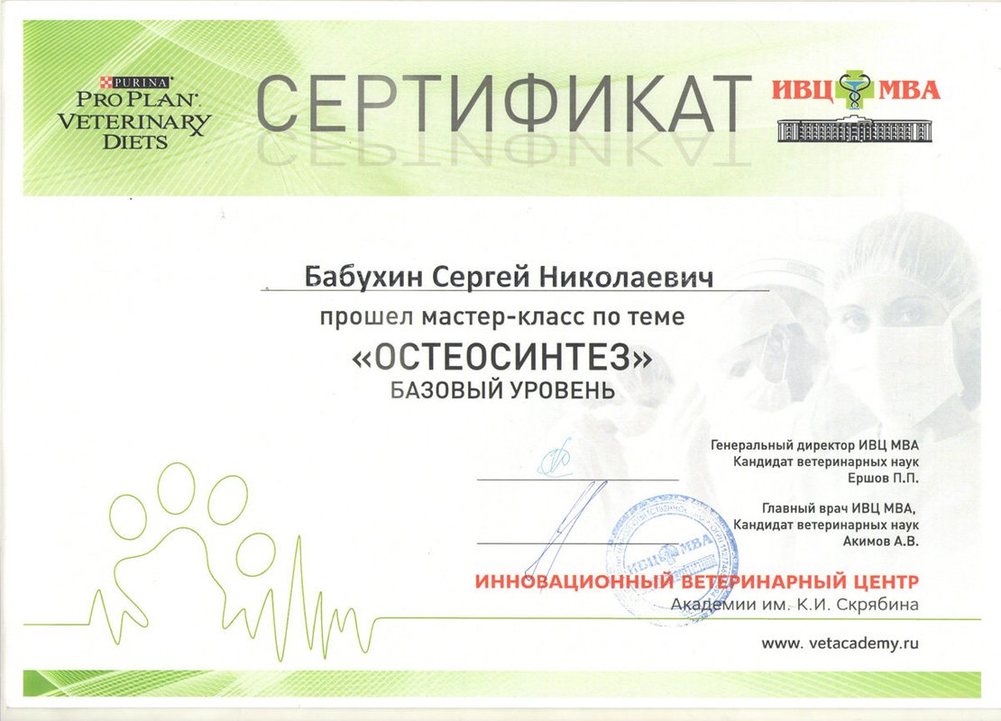 Документ или сертификат