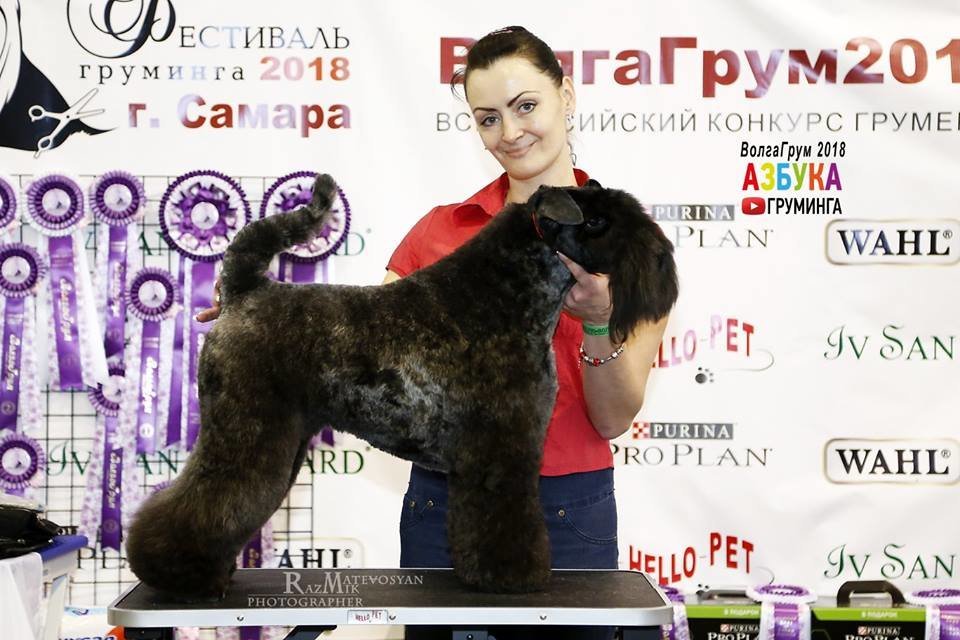 Фото врача