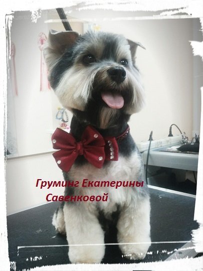 Фото врача