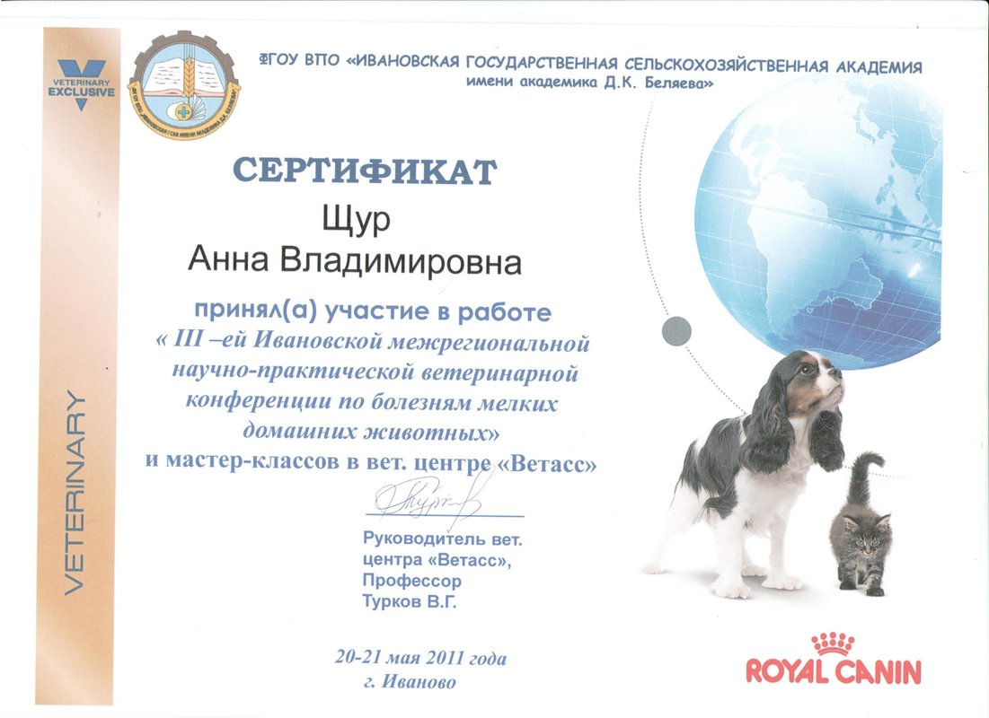 Документ или сертификат