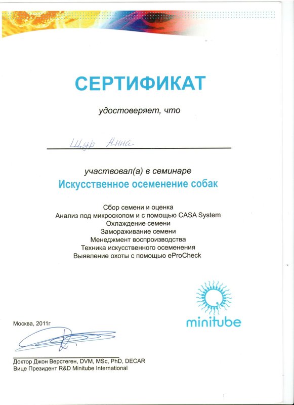 Документ или сертификат