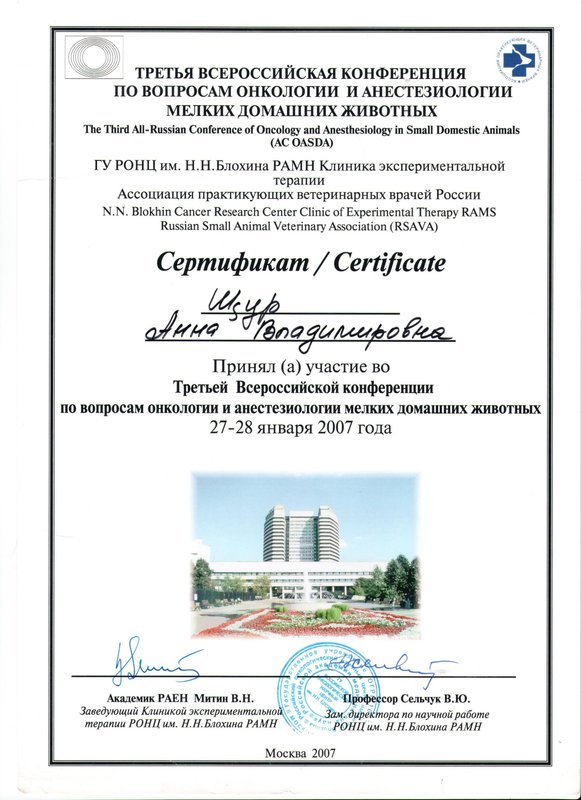 Документ или сертификат