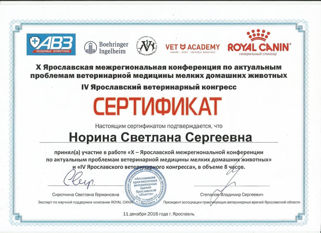 Документ или сертификат