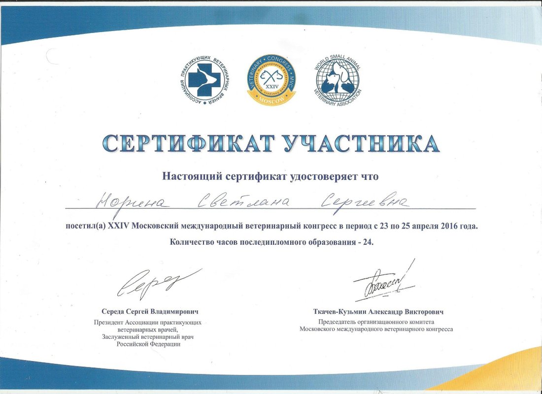 Документ или сертификат