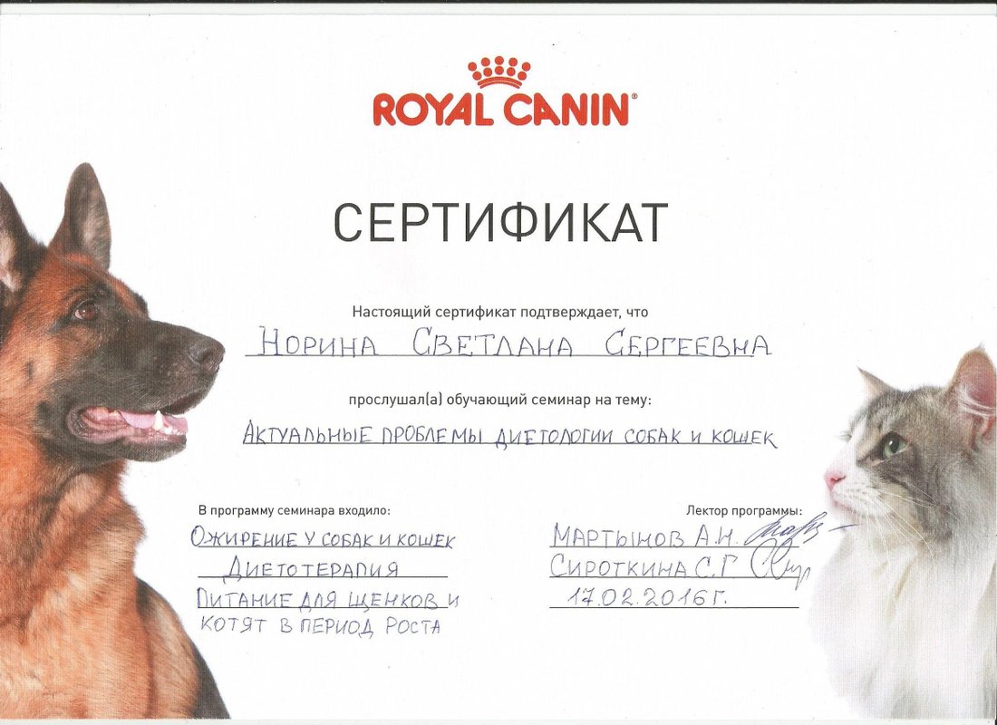 Документ или сертификат