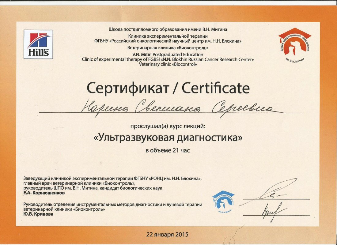 Документ или сертификат