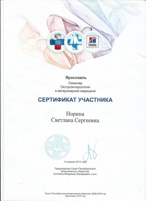 Документ или сертификат
