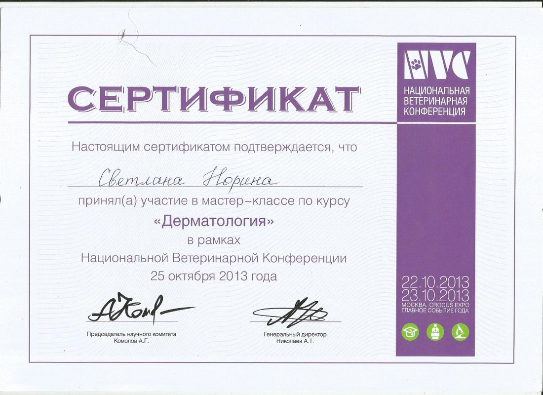 Документ или сертификат