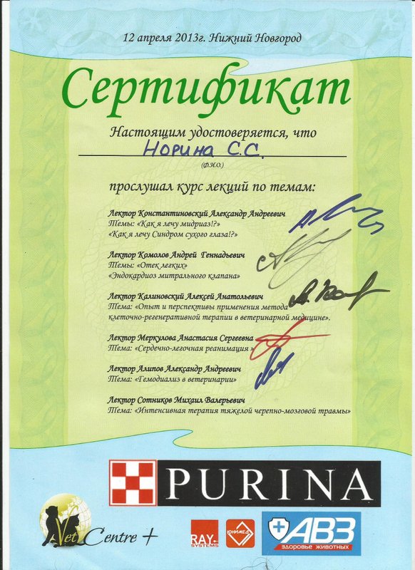 Документ или сертификат