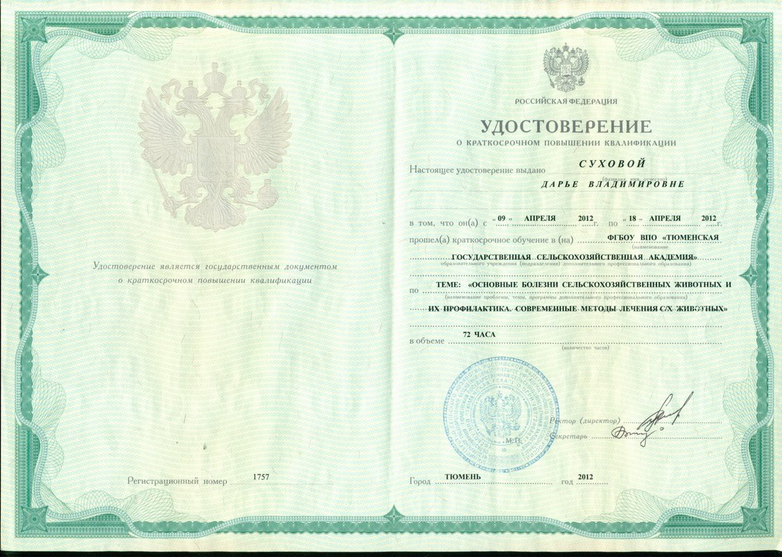 Документ или сертификат